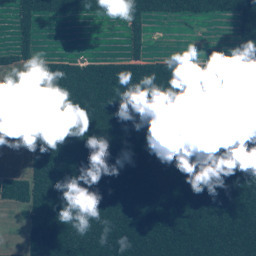 Input Cloudy, SEN12MS-CR-RGB (RGB-only) scene 11
