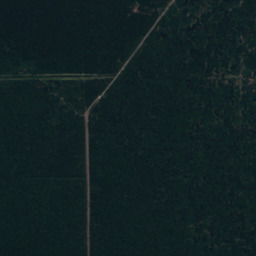 GeoCR (w/o FT), SEN12MS-CR-RGB (RGB-only) scene 12