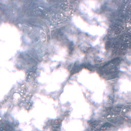 Input Cloudy, SEN12MS-CR scene 5