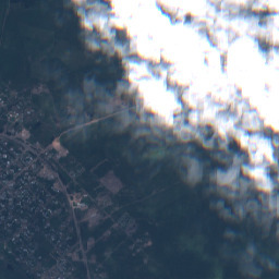 Input Cloudy, SEN12MS-CR scene 9