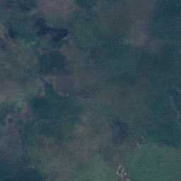 GACR ECCV'26, SEN12MS-CR scene 11