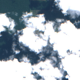 Input Cloudy, SEN12MS-CR scene 12