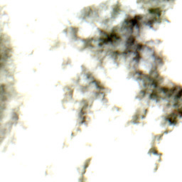 Input Cloudy, Sen2_MTC_New scene 1