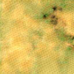 ThiefCloud TCSVT'25, Sen2_MTC_New scene 1