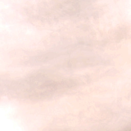 Input Cloudy, T-CLOUD scene 9