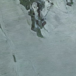 SD2.1-FT