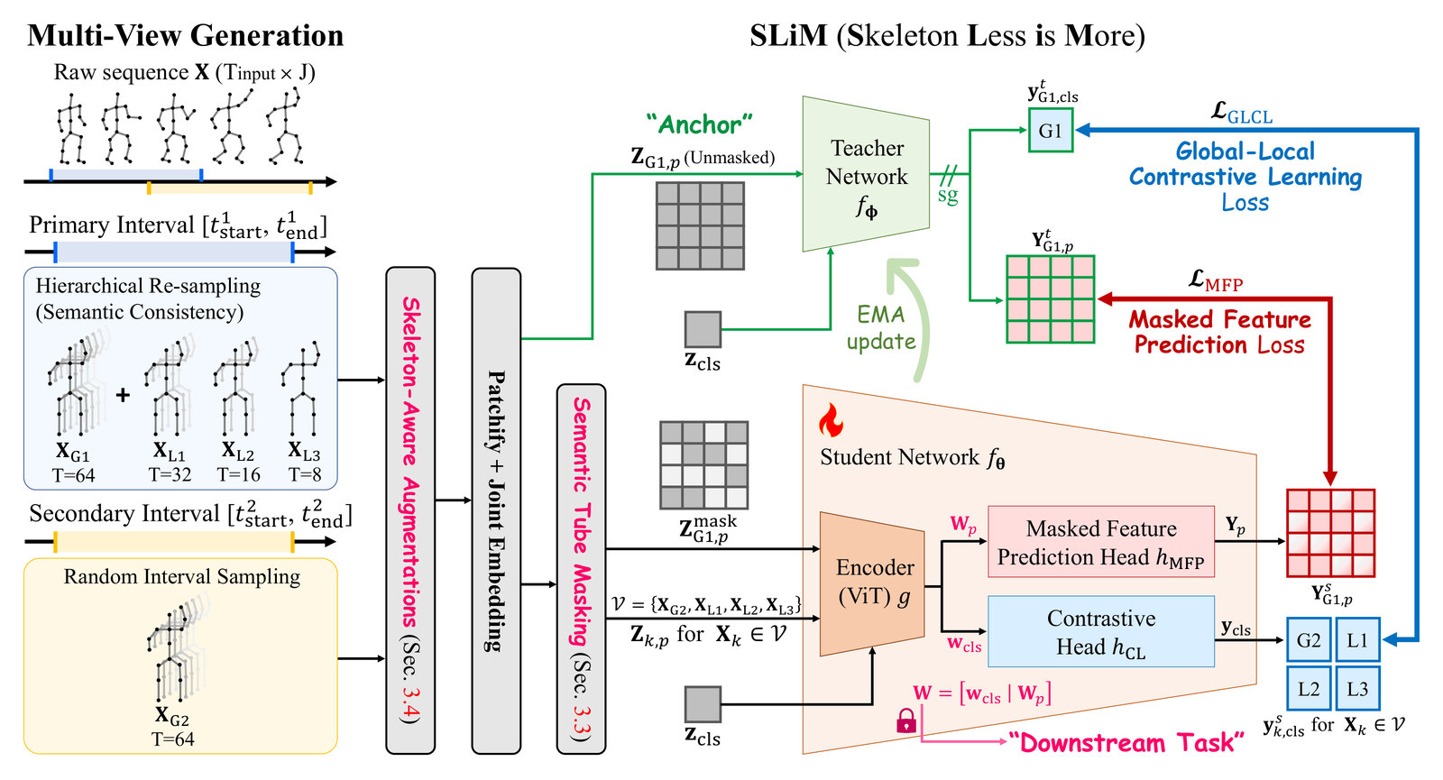 SLiM framework. Left: multi-view generation, with a primary interval re-sampled into global view XG1 (64 frames) and local views XL1 to XL3 (32, 16 and 8 frames), and a secondary interval giving global view XG2. Views pass Skeleton-Aware Augmentations, patchify and joint embedding. The teacher network, updated by EMA, encodes the unmasked anchor view; Semantic Tube Masking produces the masked tokens for the student network, whose ViT encoder feeds a masked feature prediction head and a contrastive head. Losses: masked feature prediction against the teacher's patch features and global-local contrastive learning against the teacher's class token. The encoder output W is used for downstream tasks.