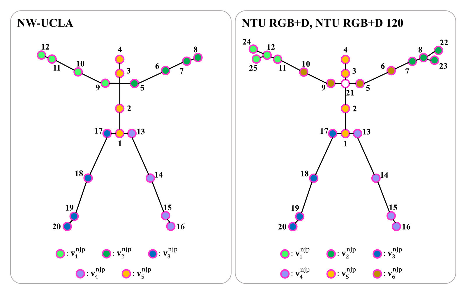 Two skeleton diagrams with numbered joints. NW-UCLA: 20 joints in five neighboring joint partitions, right arm, left arm, right leg, left leg and vertical torso, each of four joints. NTU RGB+D and NTU RGB+D 120: 25 joints, including hand tips and thumbs; joint 21, the spine, is left out, and the other 24 form six partitions of four joints, adding a horizontal torso partition.