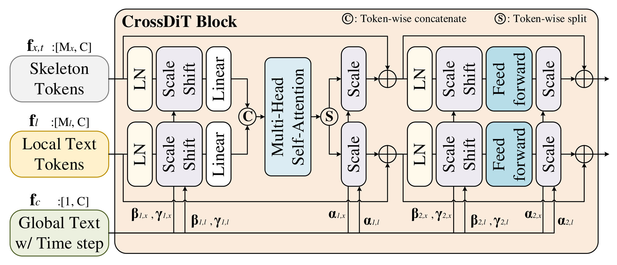 The CrossDiT block. Skeleton tokens and local text tokens each pass through layer norm, scale-shift modulation and a linear layer; they are concatenated token-wise, pass through multi-head self-attention, split again, scaled and added to the residual, then pass through layer norm, scale-shift, a feed-forward layer and a scale with a second residual. The modulation parameters alpha, beta and gamma come from the global text feature with the timestep.
